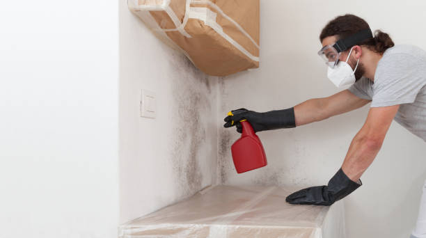 Professional Black Mold Removal technician working in Lancaster, VA