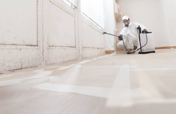 24/7 Emergency Black Mold Removal experts in Lancaster, VA
