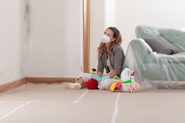 Reliable Black Mold Removal contractor in Lancaster, VA by WQB Mold Removal